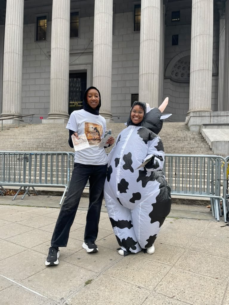 The Got Cow Gas team, one in a cow costume, outside the New York County Supreme Court at 60 Centre Street